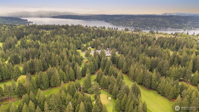 aerial view with a water view and a wooded view