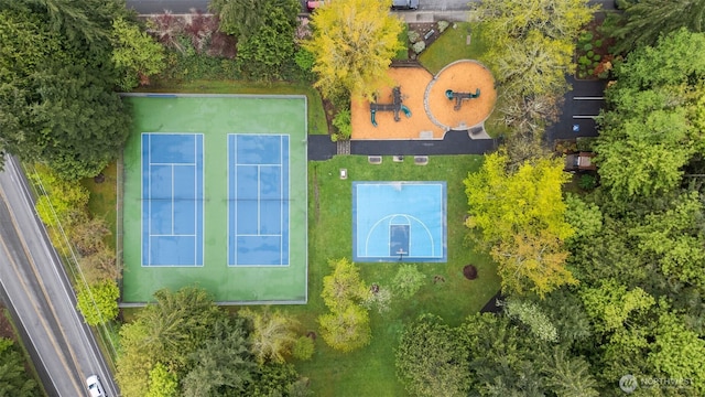 bird's eye view
