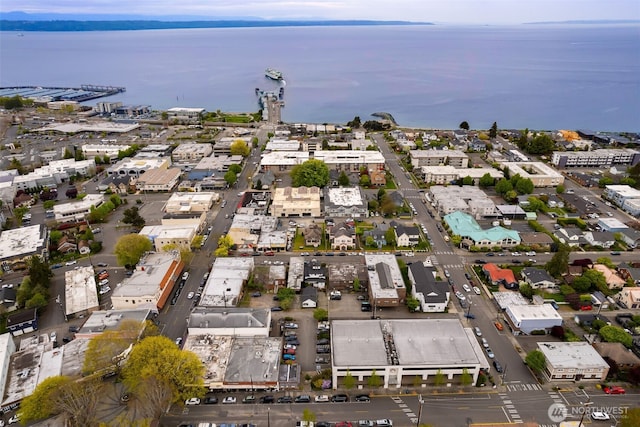 drone / aerial view with a water view