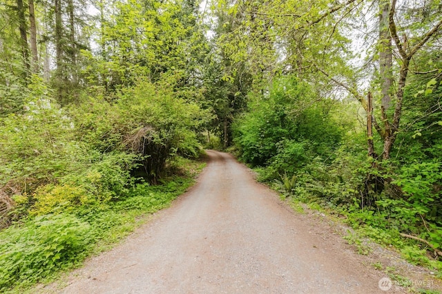 view of street featuring a view of trees