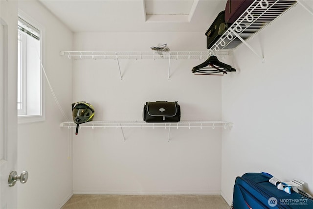 spacious closet with light carpet