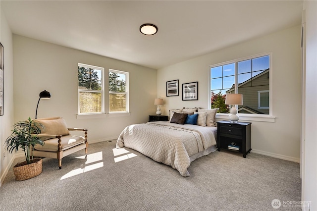 6722 Azalea Way SE, Snoqualmie, WA 98065 - bedroom with multiple windows, light carpet, and baseboards