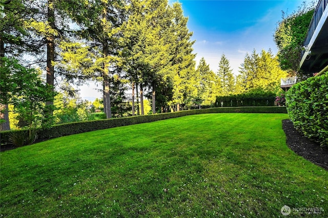 6722 Azalea Way SE, Snoqualmie, WA 98065 - view of grassy yard