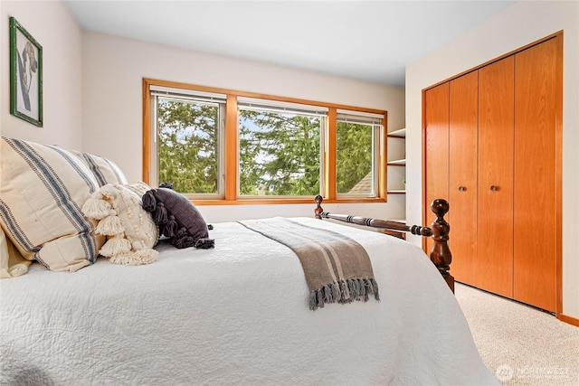 3337 Agate Heights Rd, Bellingham, WA 98226 - bedroom with carpet floors and a closet
