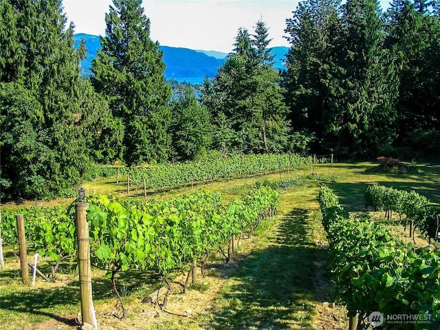 3337 Agate Heights Rd, Bellingham, WA 98226 - view of yard with a mountain view