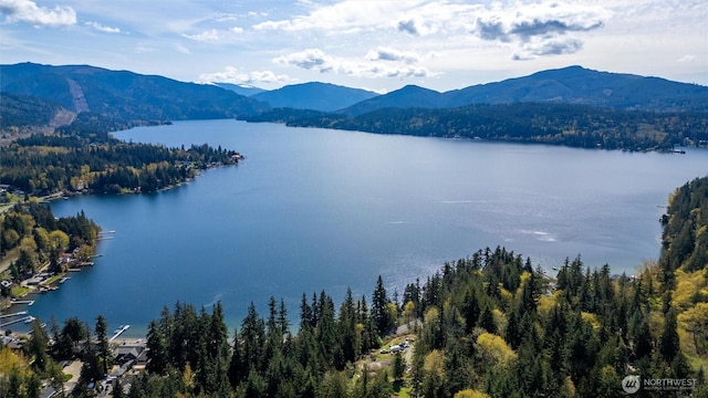 3337 Agate Heights Rd, Bellingham, WA 98226 - property view of water featuring a view of trees and a mountain view