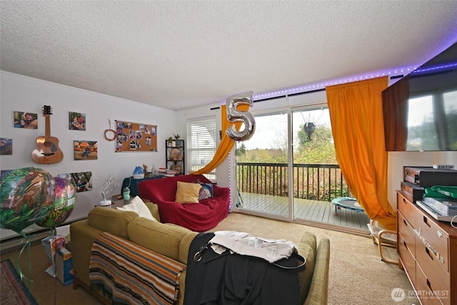 8100 Delridge Way SW Unit 1-3, Seattle, WA 98106 - living area with carpet floors and a textured ceiling