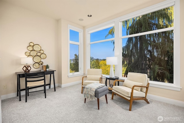sitting room featuring baseboards and carpet