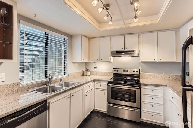 kitchen featuring a tray ceiling, appliances with stainless steel finishes, a sink, white cabinets, and under cabinet range hood