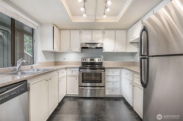 3518 109th Pl NE Unit 223, Bellevue, WA 98004 - kitchen with stainless steel appliances, under cabinet range hood, a raised ceiling, white cabinetry, and rail lighting
