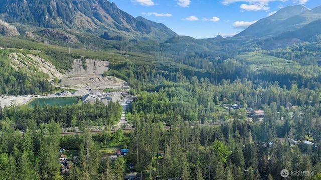 44222 179th Pl SE, Gold Bar, WA 98251 - mountain view featuring a forest