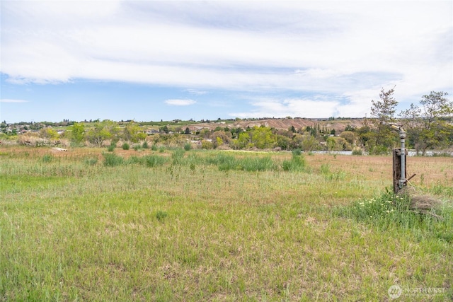view of local wilderness featuring a rural view