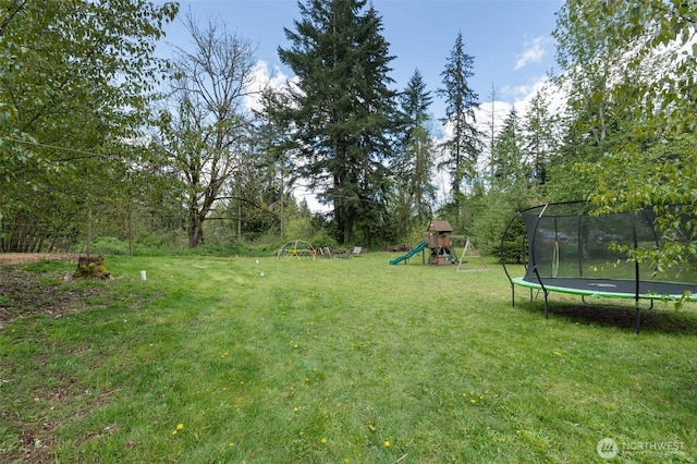 29304 39th Ave E, Graham, WA 98338 - view of yard with a playground and a trampoline