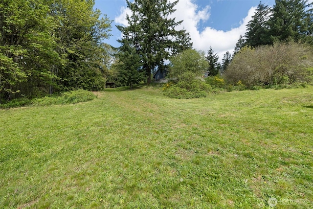29304 39th Ave E, Graham, WA 98338 - view of yard