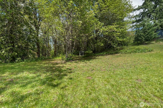 29304 39th Ave E, Graham, WA 98338 - view of yard with a forest view