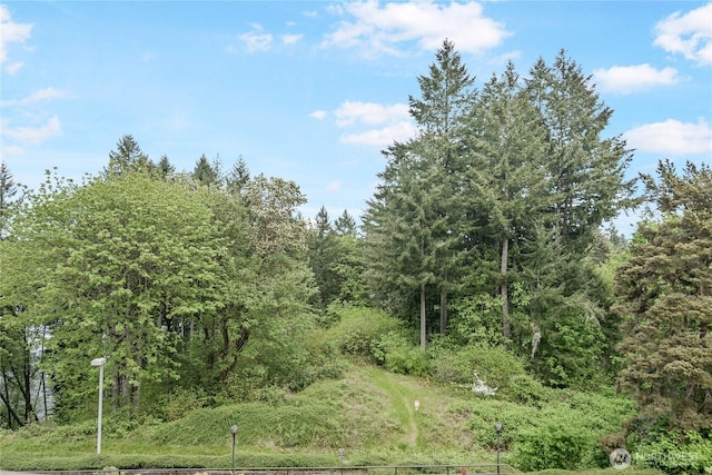 view of nature with a forest view