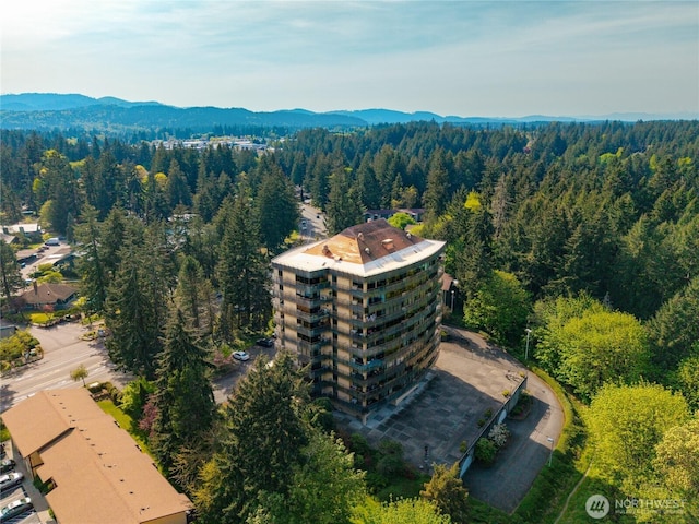 birds eye view of property featuring a mountain view and a wooded view