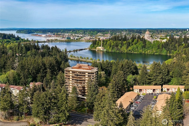 drone / aerial view with a water view and a wooded view