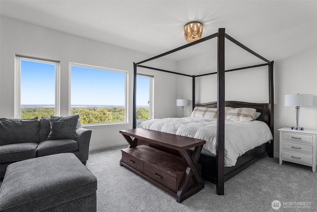 1614 W 51st Ave, Kennewick, WA 99337 - carpeted bedroom with baseboards