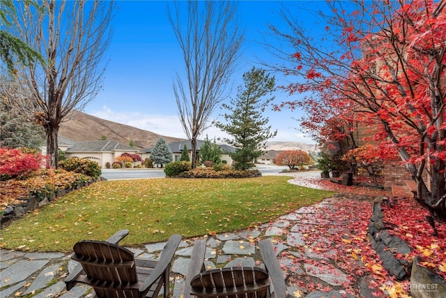 view of yard with a mountain view