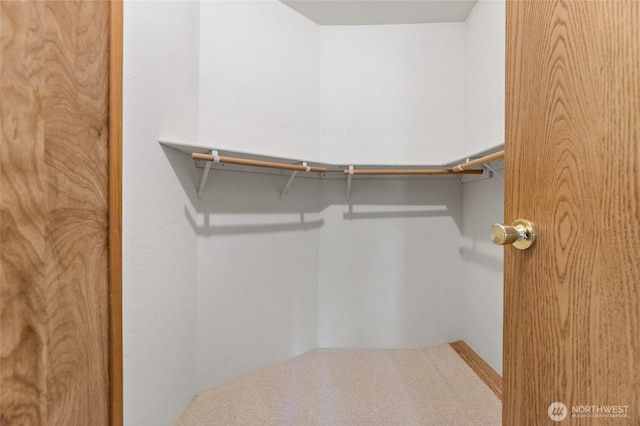 view of walk in closet