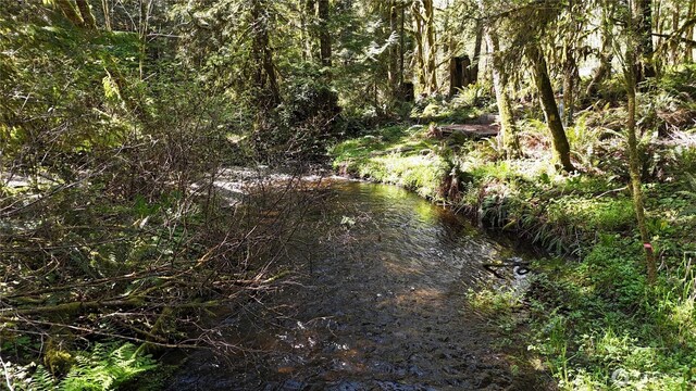 15941 Glenwood Rd SW, Port Orchard, WA 98367 - view of landscape