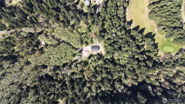 15941 Glenwood Rd SW, Port Orchard, WA 98367 - birds eye view of property
