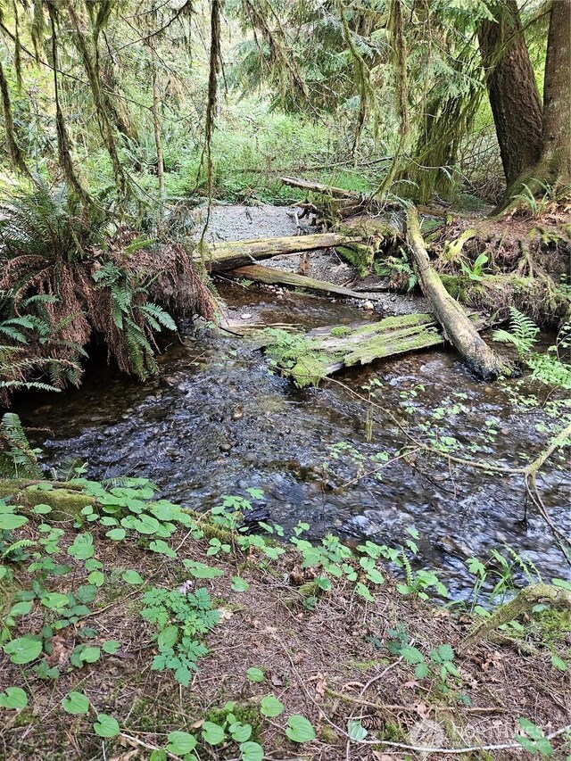 15941 Glenwood Rd SW, Port Orchard, WA 98367 - view of nature