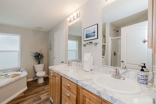 bathroom with a sink, a shower stall, toilet, and double vanity