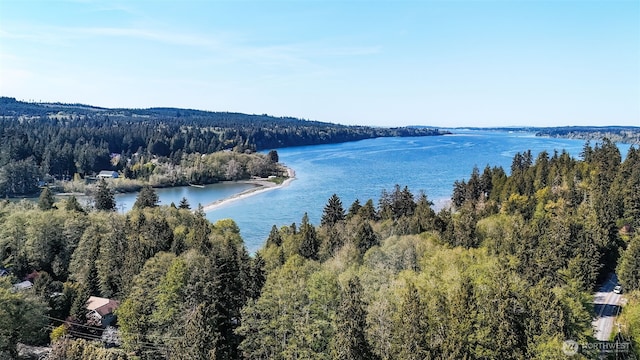 water view with a view of trees