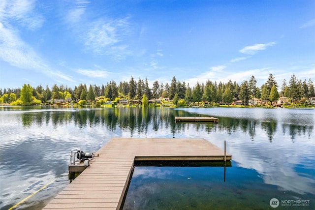 dock area featuring a water view