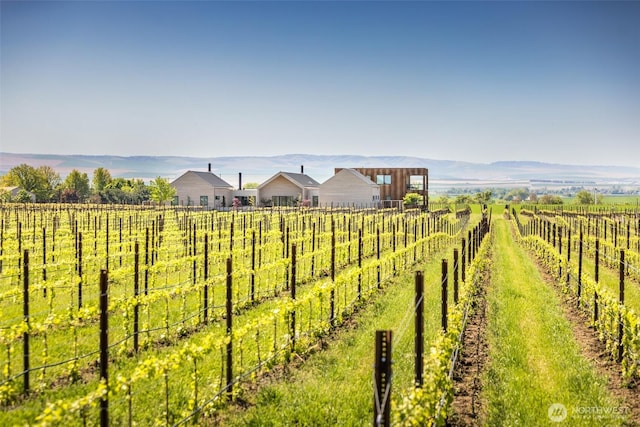 1721 J B George Rd, Walla Walla, WA 99362 - view of yard with a view of rural / pastoral area, fence, and agricultural area