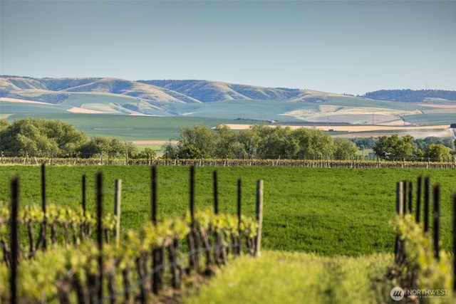 1721 J B George Rd, Walla Walla, WA 99362 - view of mountain background featuring rural landscape