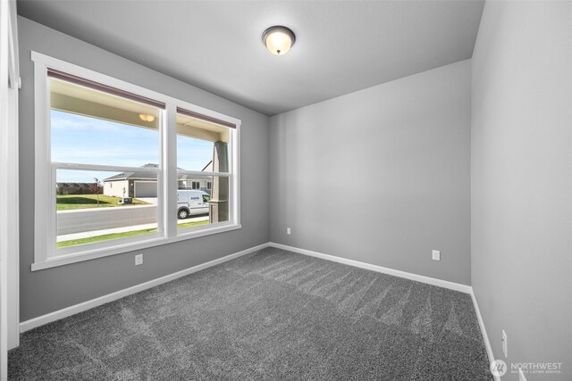 carpeted empty room with baseboards and a wealth of natural light