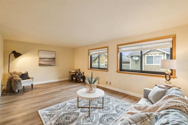 living room with baseboards and wood finished floors
