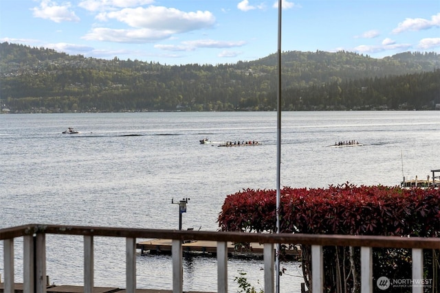 property view of water featuring a view of trees