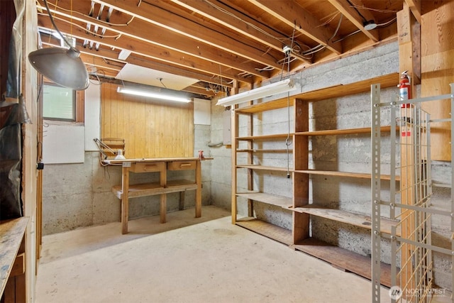 unfinished below grade area featuring a workshop area