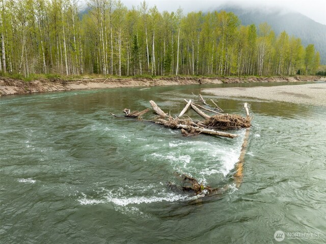 0 Cline Rd, White Pass, WA 98937