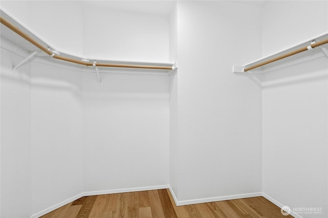 walk in closet featuring wood finished floors