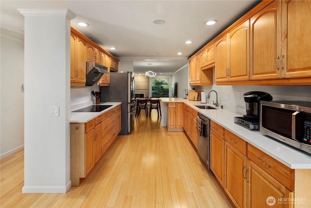 2606 174th Ave NE, Redmond, WA 98052 - kitchen featuring crown molding, stainless steel appliances, a sink, and light wood-style flooring