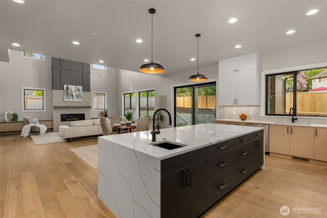 kitchen with light wood finished floors, modern cabinets, and a sink