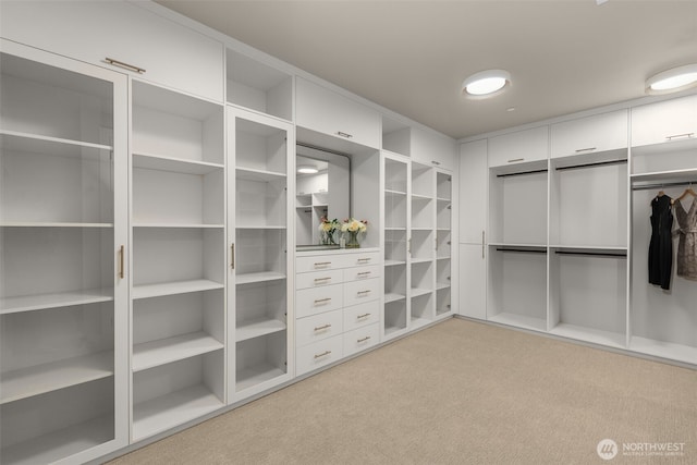 spacious closet featuring light colored carpet