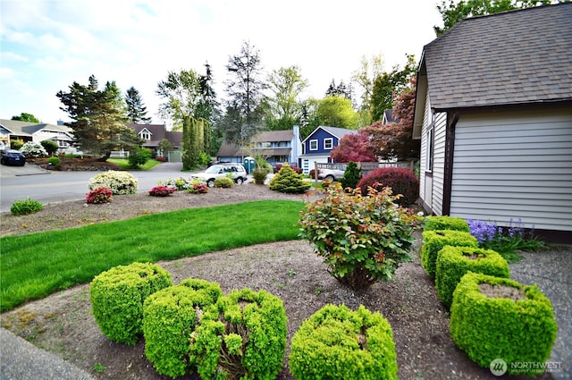 view of yard featuring a residential view