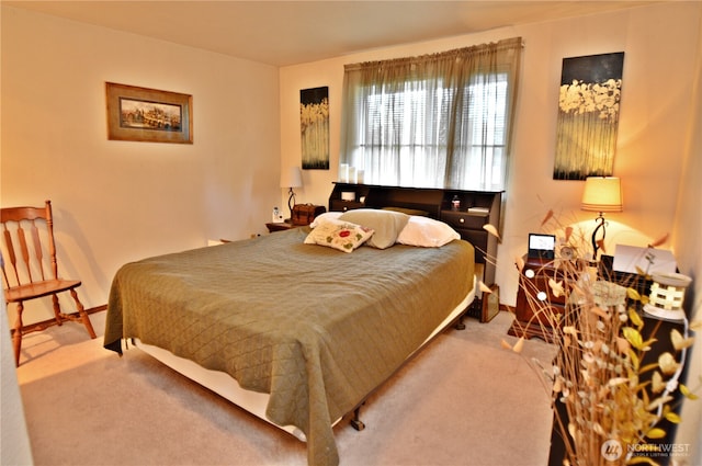 bedroom with baseboards and carpet