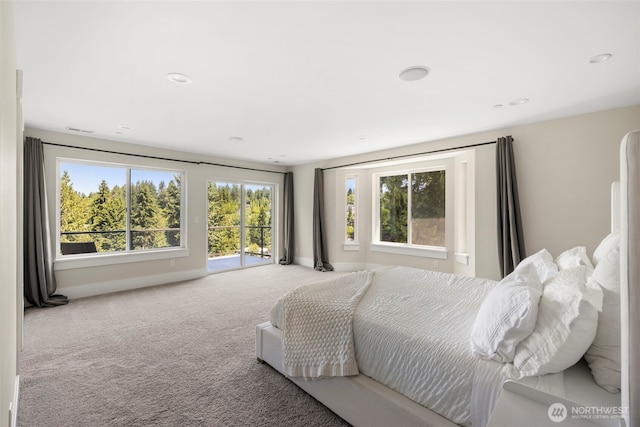 16831 84th Ln NE, Kenmore, WA 98028 - bedroom featuring carpet, baseboards, and recessed lighting