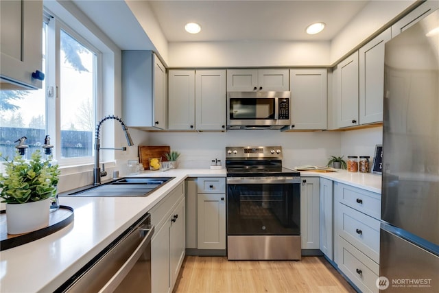 kitchen featuring stainless steel appliances, gray cabinetry, a healthy amount of sunlight, and a sink