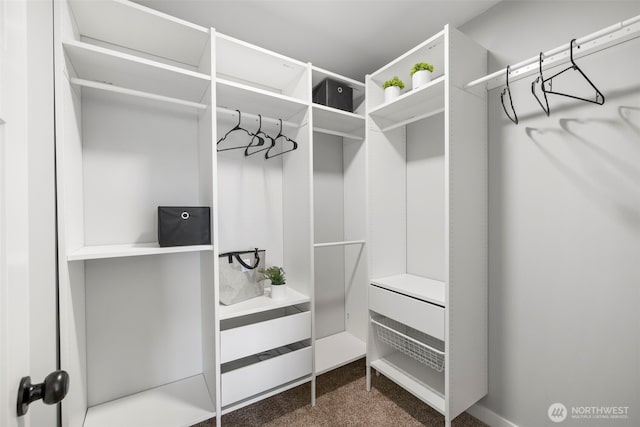 spacious closet featuring dark carpet