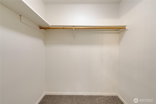 spacious closet featuring carpet floors