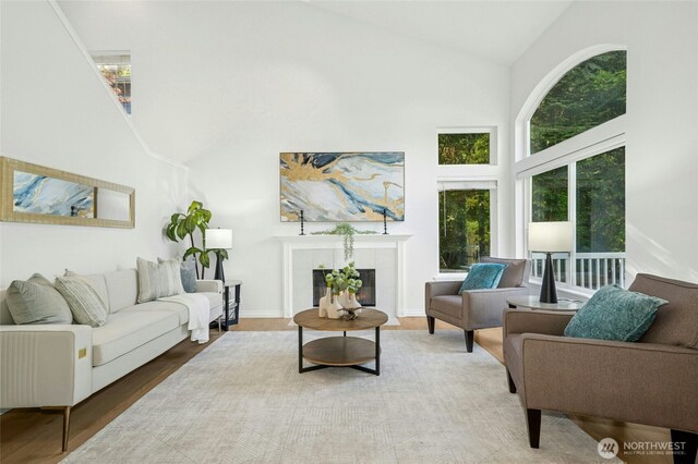 living area with high vaulted ceiling, wood finished floors, and a fireplace
