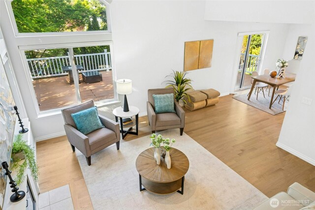 living area with baseboards, wood finished floors, and a towering ceiling